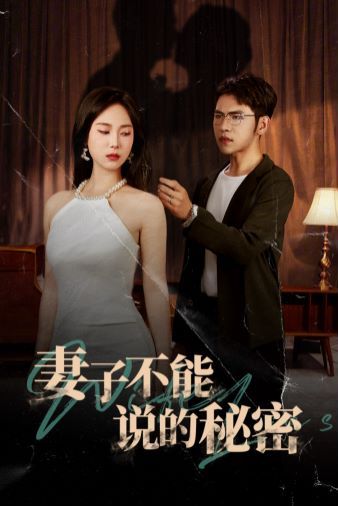 妻子不能说的秘密封面