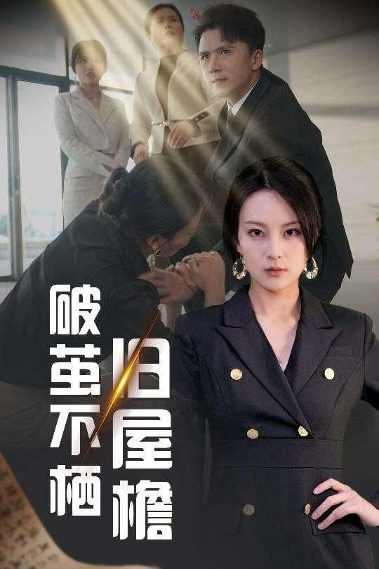 破茧不栖旧屋檐封面