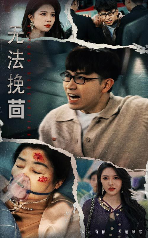 无法挽回封面
