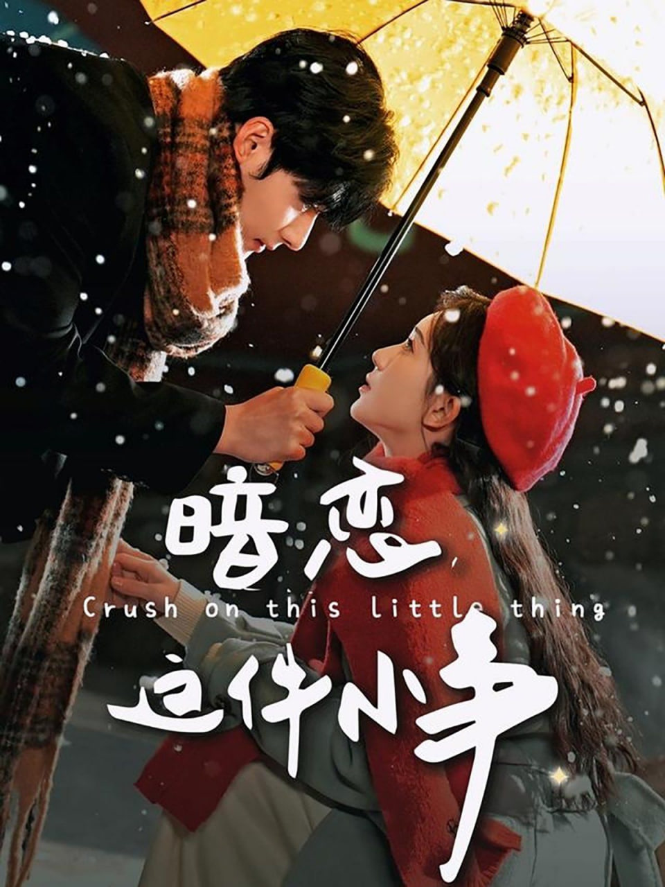 暗恋这件小事封面