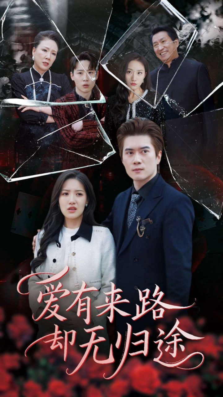 爱有来路却无归途封面