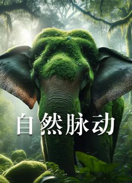 自然脉动封面