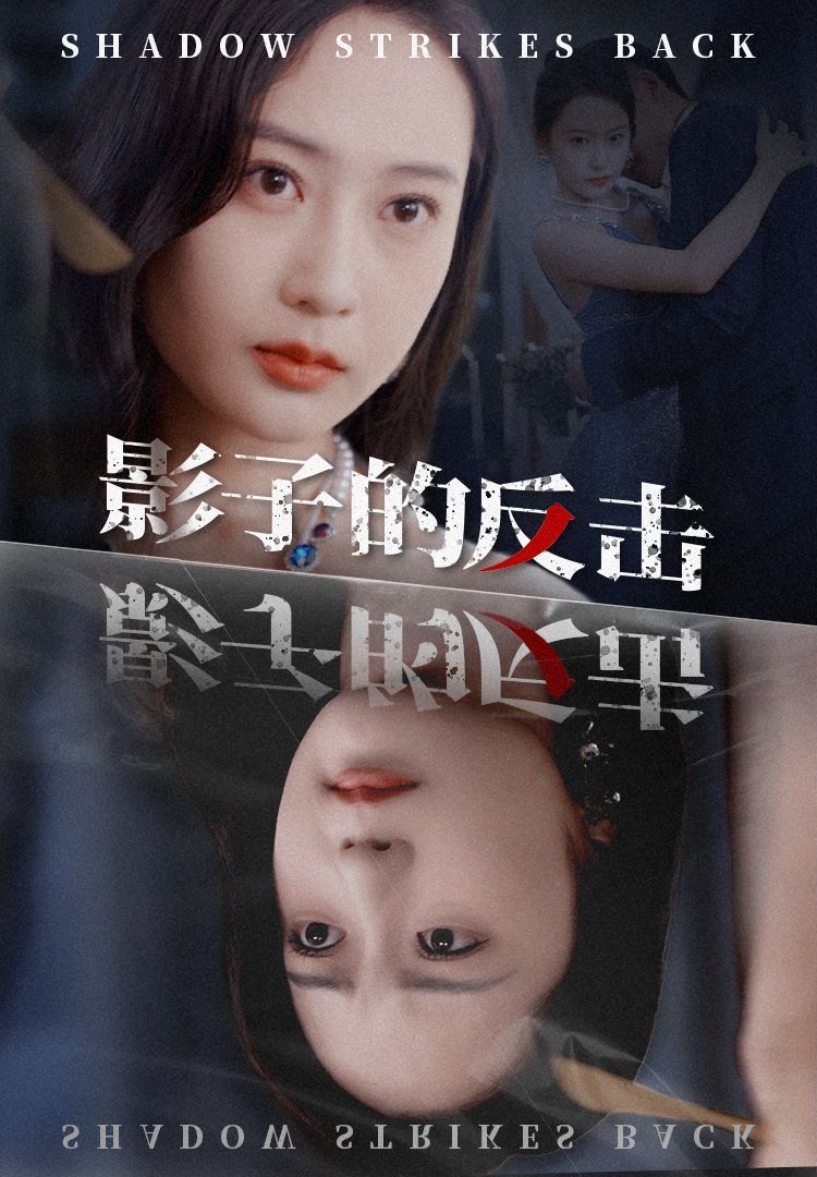 影子的反击封面