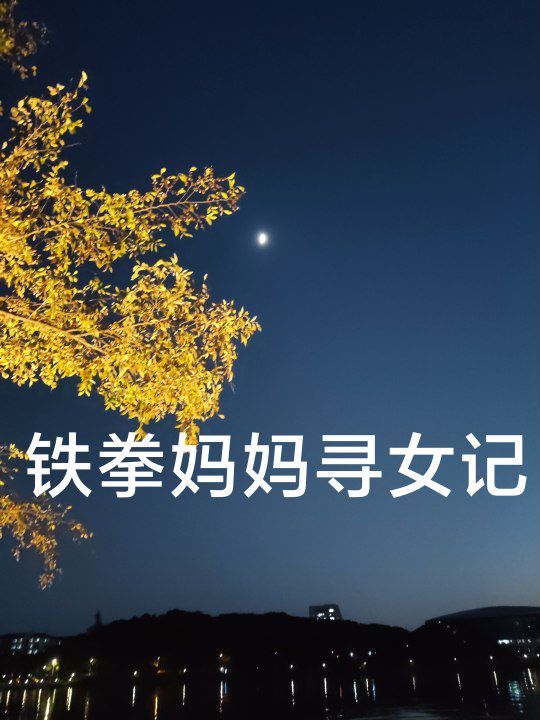 铁拳妈妈寻女记封面