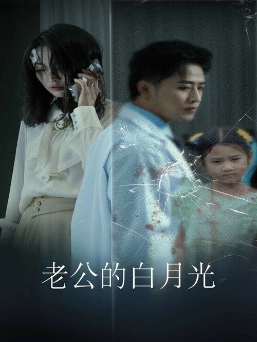 老公的白月光封面