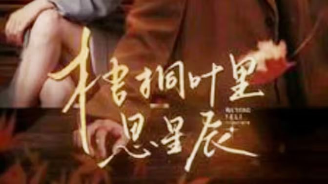 梧桐叶里思星辰封面