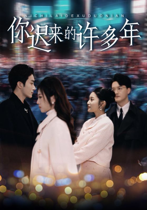 你迟来的许多年封面