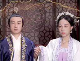 无敌仙婿封面