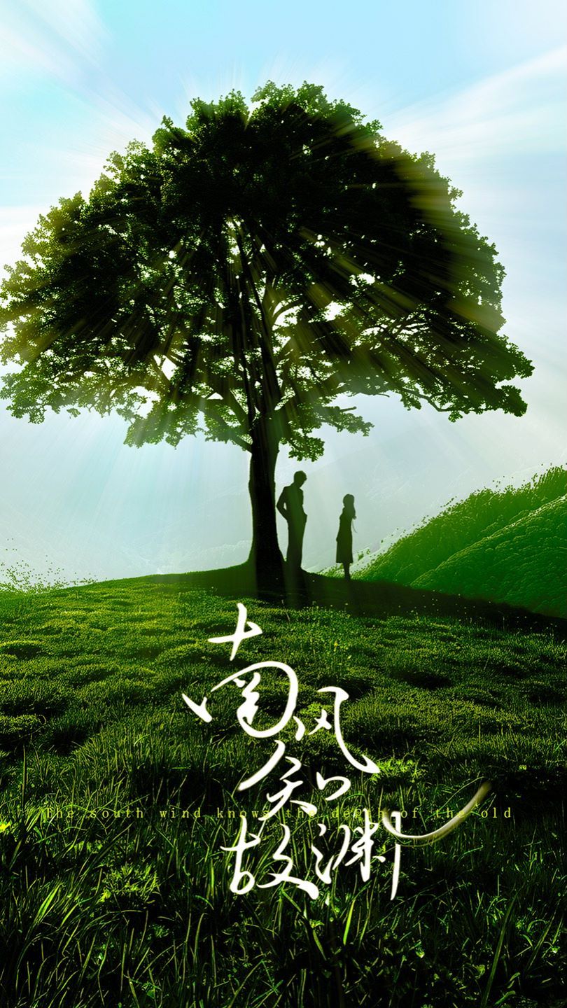 南风知故渊封面