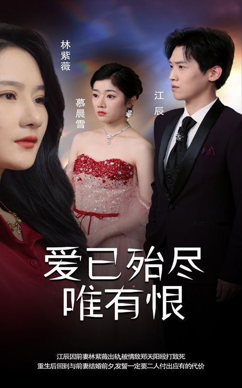 爱已殆尽唯有恨封面