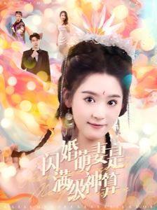 闪婚萌妻是满级神算封面