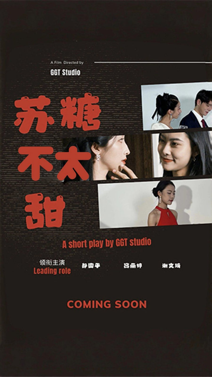 苏糖不太甜封面