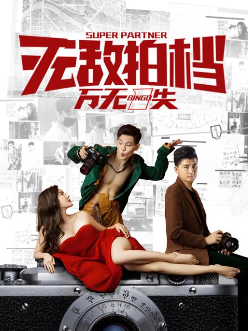 无敌拍档之万无一失封面