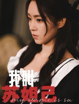 我叫苏妲己封面