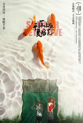 平原上的夏洛克封面