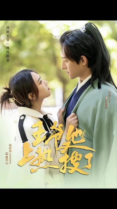 王爷他又上热搜了封面