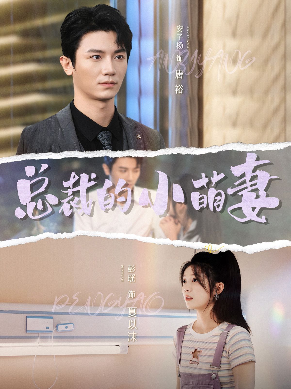 总裁的小萌妻封面