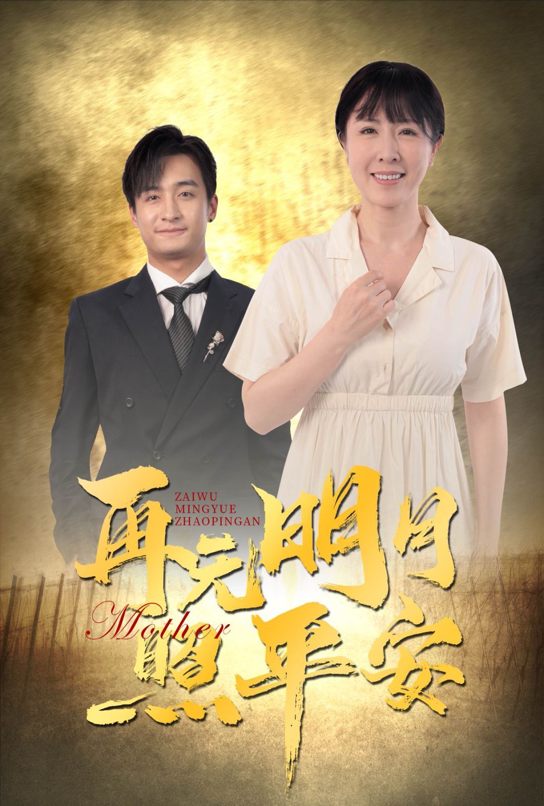 再无明月照平安封面