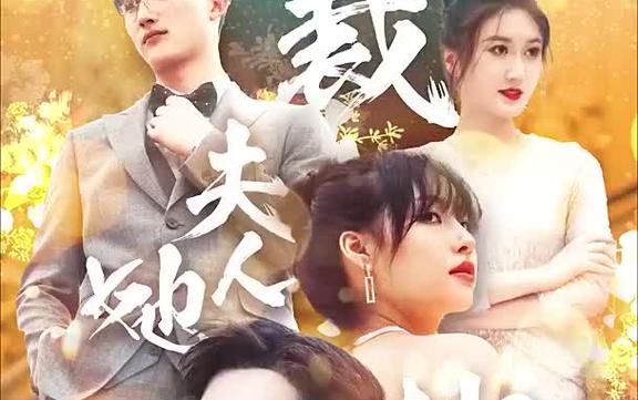 总裁夫人她又鲨回来了封面