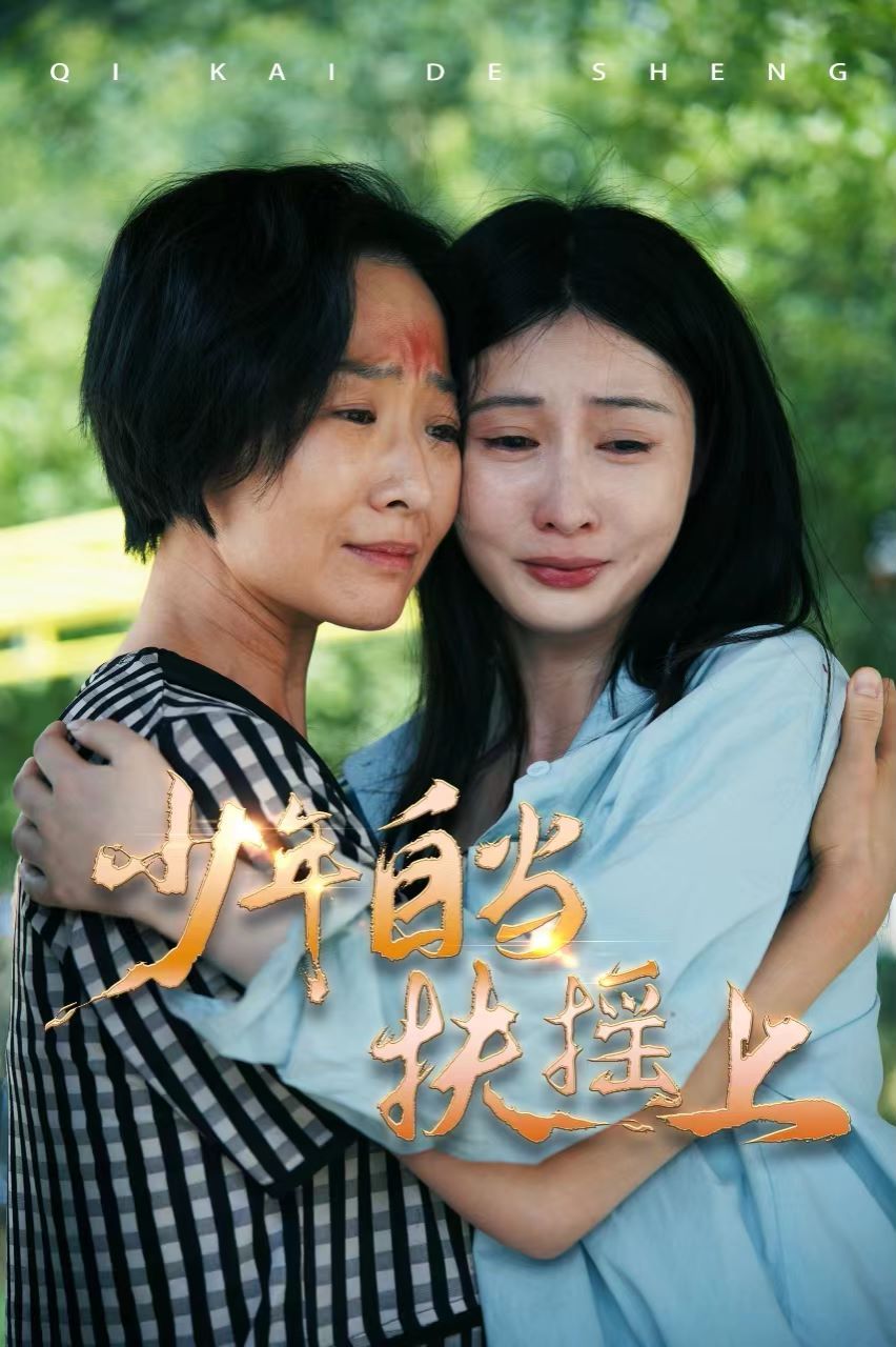少年自当扶摇上封面
