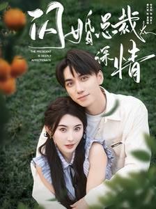 闪婚总裁太深情封面