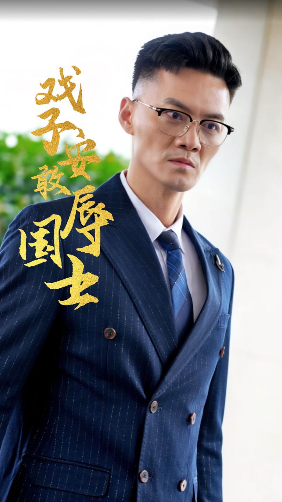 戏子安敢辱国士封面