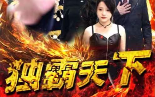 独霸天下封面