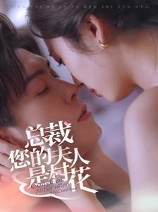 总裁您的夫人是村花封面
