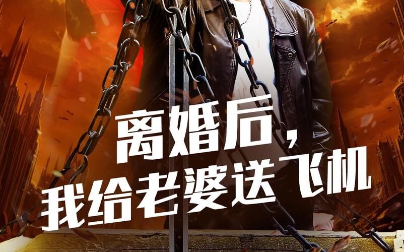 离婚后，我给老婆送飞机封面