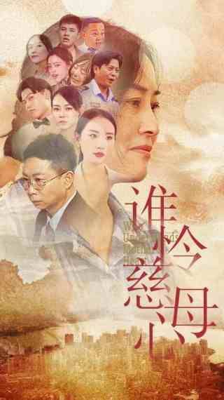 谁怜慈母心封面