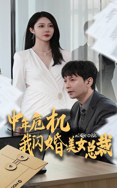 中年危机我闪婚美女总裁封面
