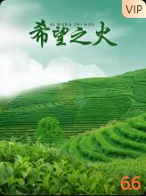 希望之火封面