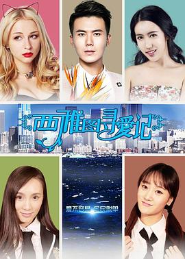 西雅图寻爱记封面