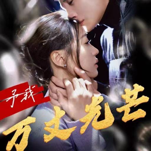 予我万丈光芒封面