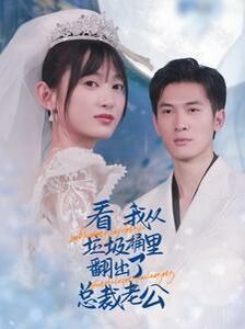 看我从垃圾桶里翻出了总裁老公封面