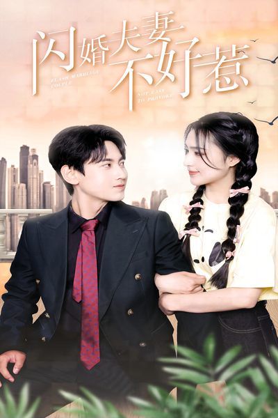 闪婚夫妻不好惹封面