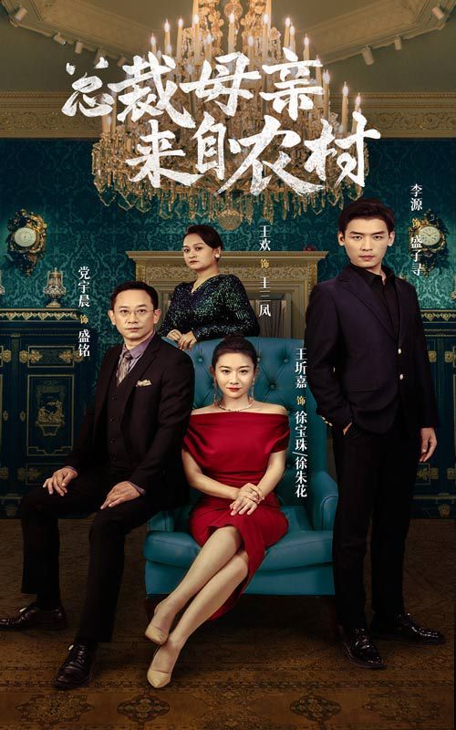 总裁母亲来自农村封面