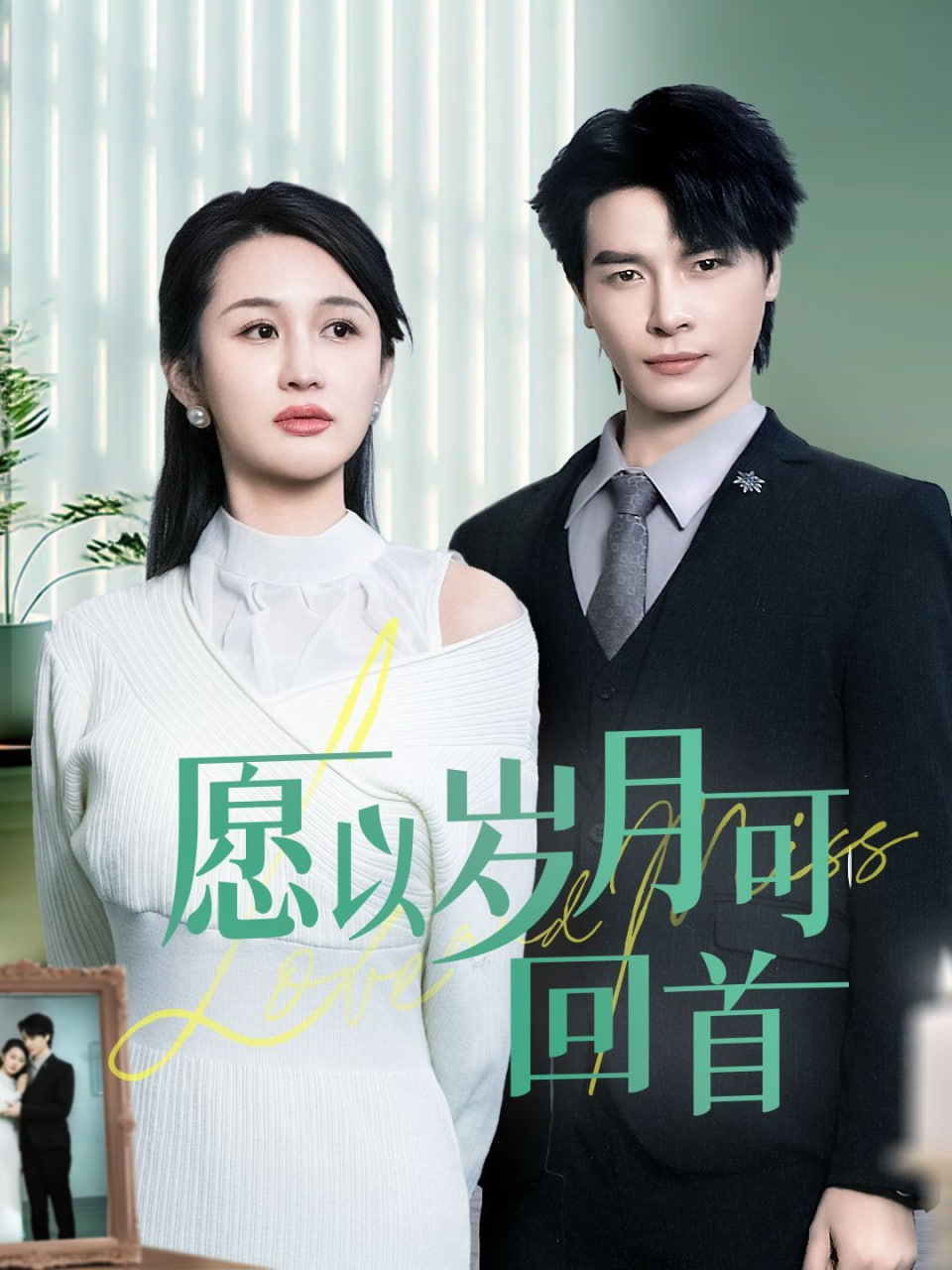愿以岁月可回首封面
