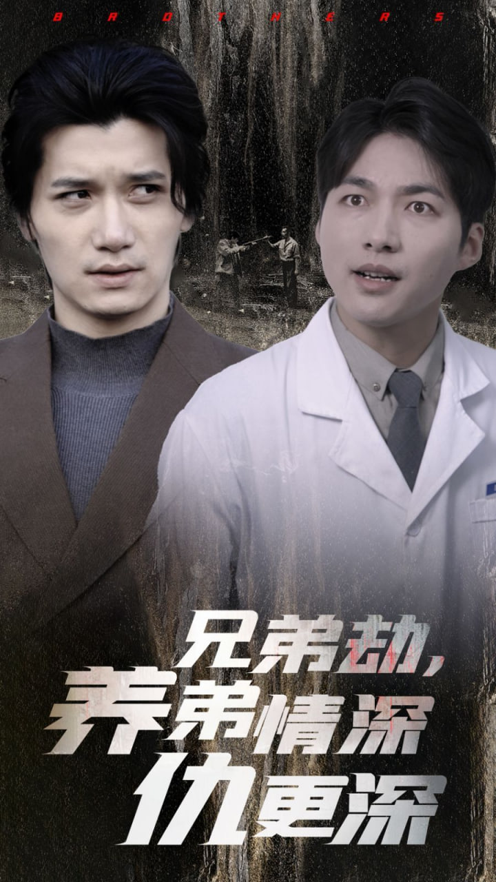 兄弟劫养弟情深仇更深封面
