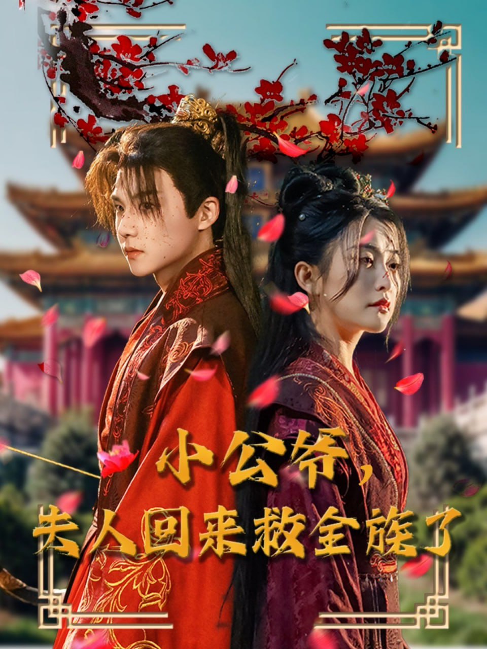 小公爷夫人回来救全族了封面