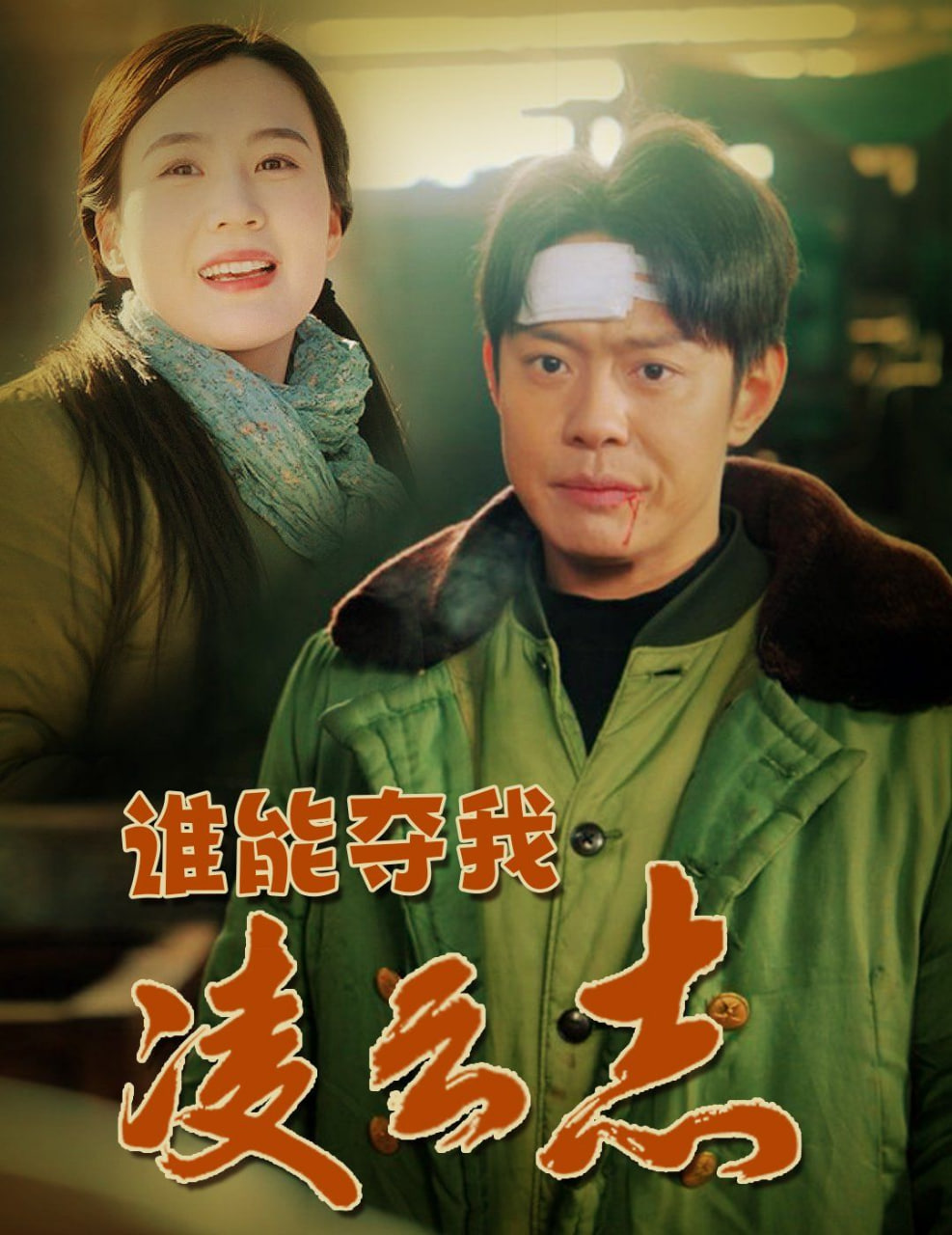 谁能夺我凌云志封面