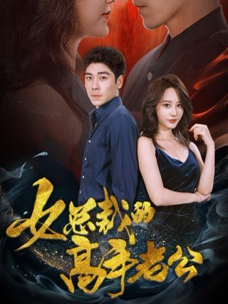 女总裁的高手老公封面