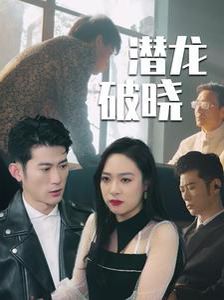 潜龙破晓封面