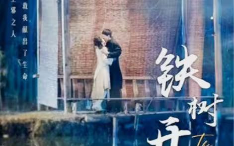 铁树开花封面