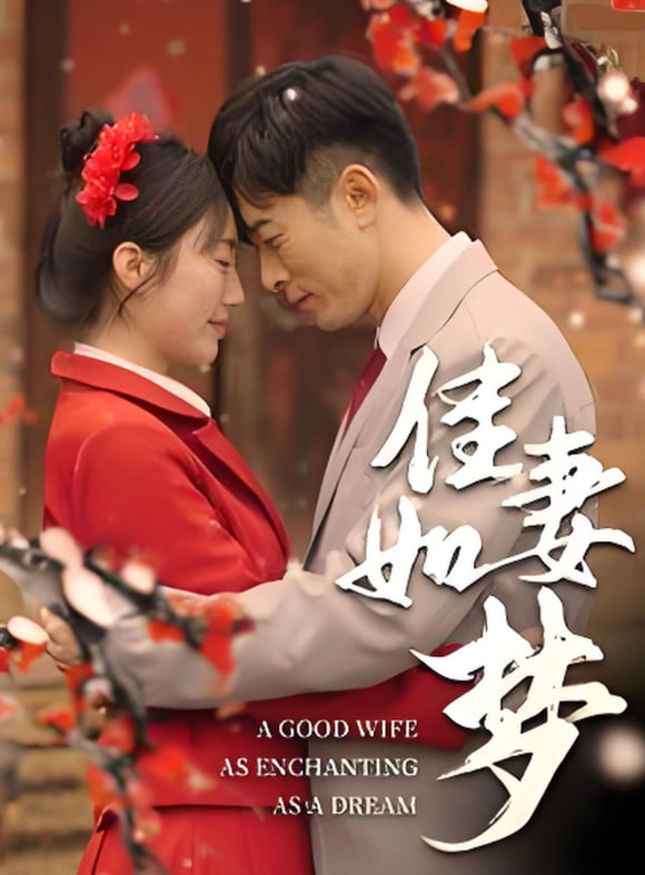 佳妻如梦封面
