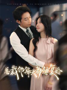 总裁他每天都想复婚封面
