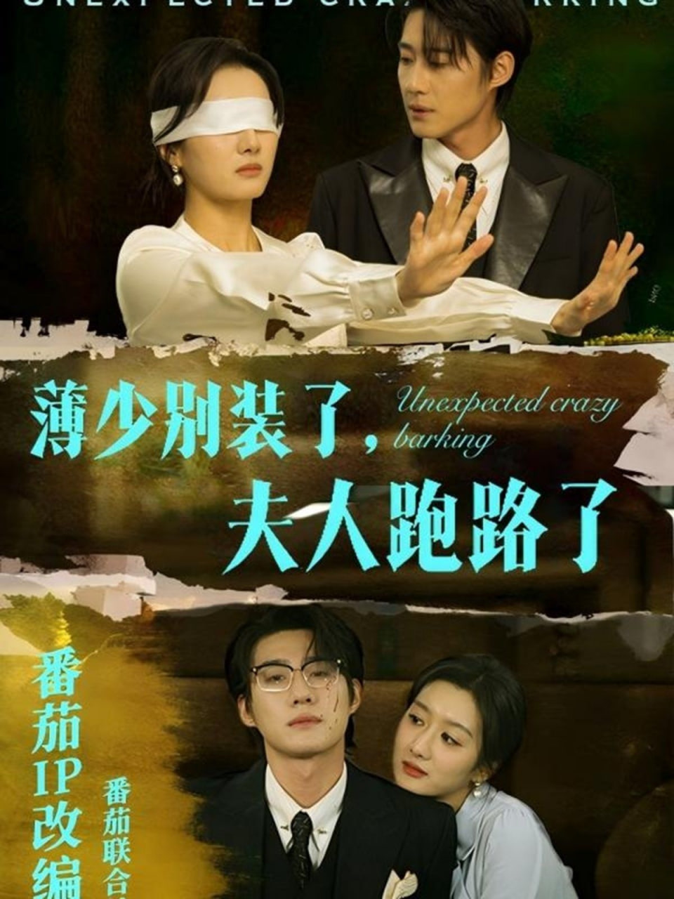 薄少别装了夫人跑路了封面