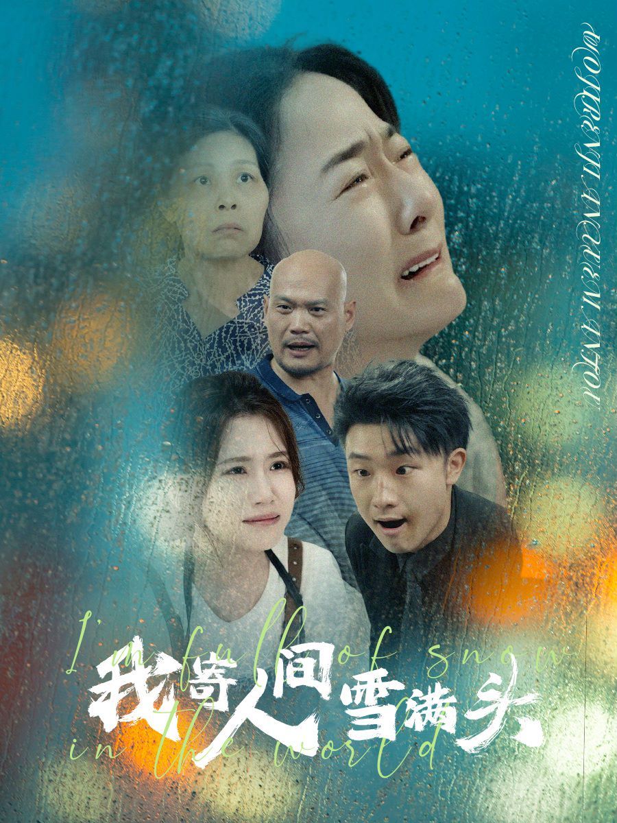 我寄人间雪满头封面