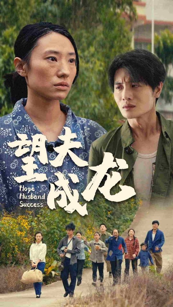 望夫成龙封面
