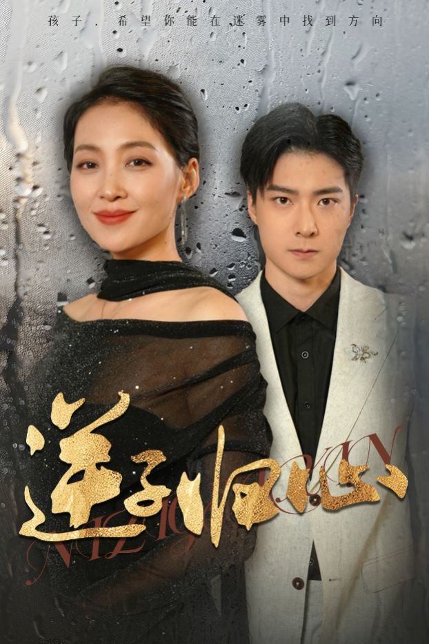 逆子归心封面